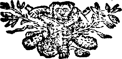 098/098400010002010_0.png