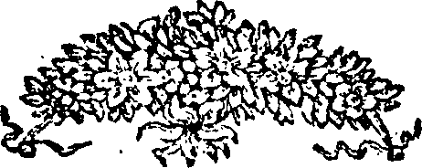 098/098430130004670_0.png