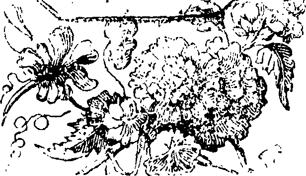 098/098520040103610_0.png