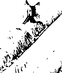 098/098530020001080_0.png