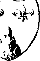 098/098620020000010_0.png