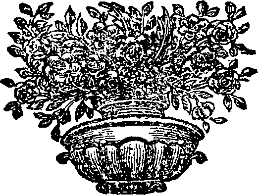 098/098700020100010_0.png
