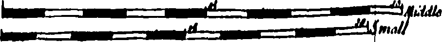 098/098790010105380_0.png