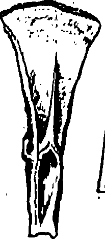 098/098790010200750_3.png