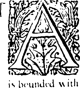 098/098790010202960_0.png