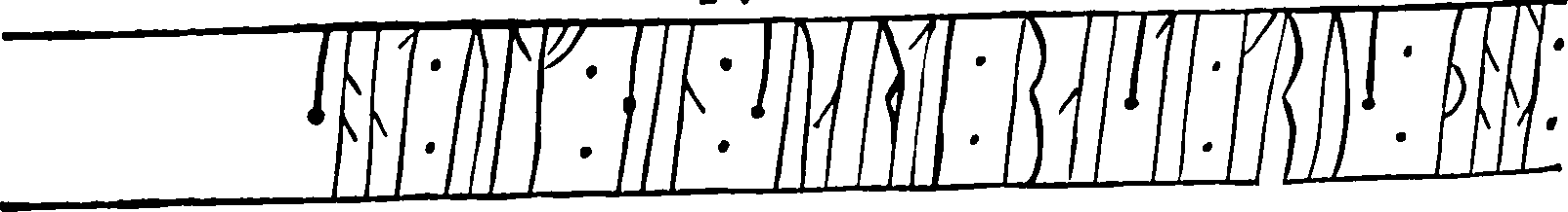 098/098790010203950_1.png