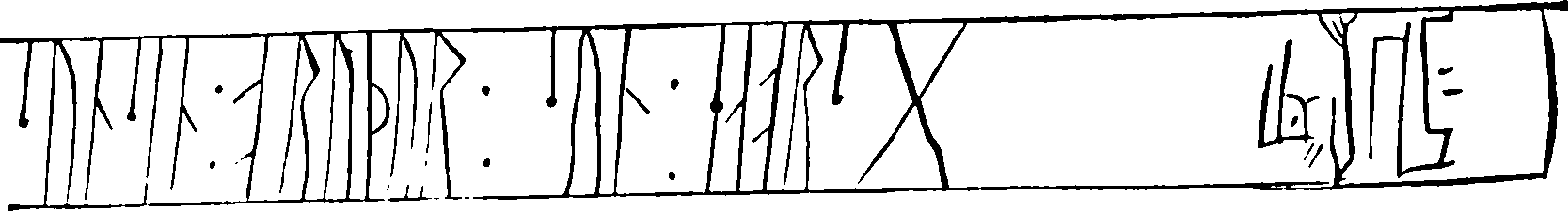 098/098790010203950_2.png