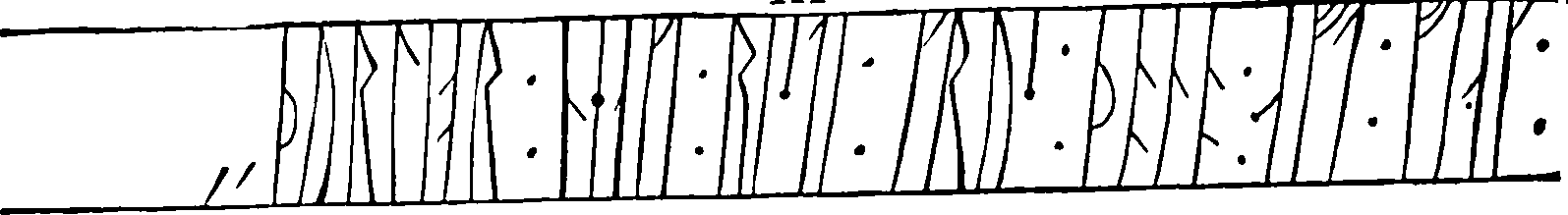 098/098790010203950_3.png