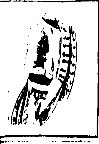 098/098830020001010_1.png