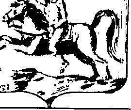 098/098830020001010_7.png