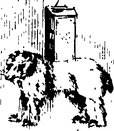 098/098830020001010_9.png