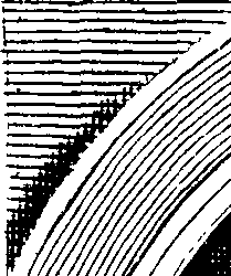 098/098830050000010_0.png