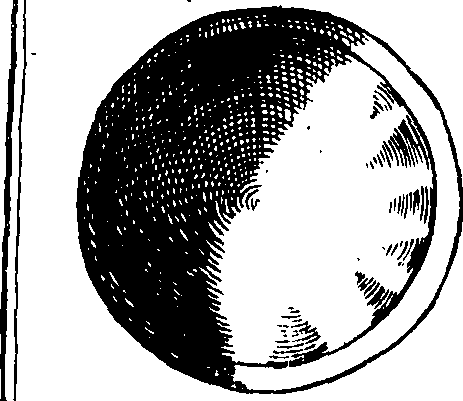 098/098850020200410_1.png