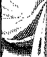 098/098870030001130_0.png
