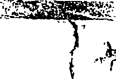 098/098880020000010_1.png