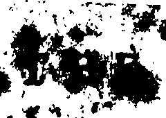 098/098900020000020_2.png