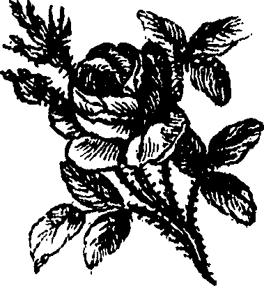098/098920060000590_0.png