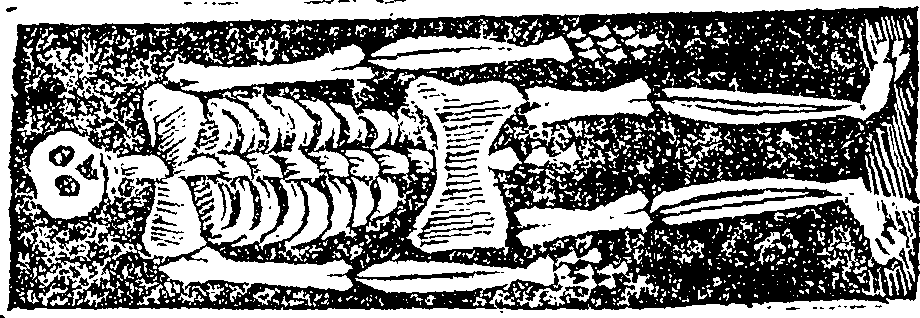 099/099120040000930_0.png