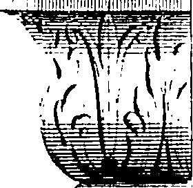 099/099170010000630_0.png