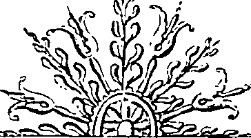 099/099170010000720_1.png