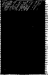 099/099230020001250_2.png