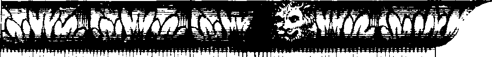 099/099230020002390_2.png