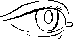 099/099240100000060_0.png