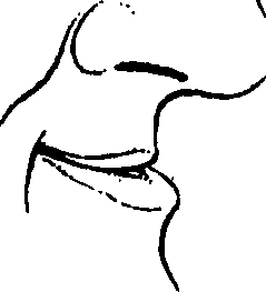099/099240100000090_0.png