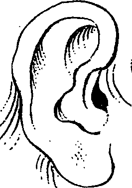 099/099240100000090_1.png