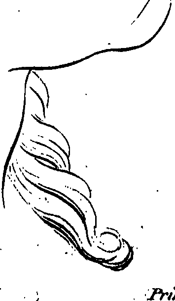 099/099240100000170_0.png