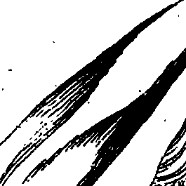 099/099240100000170_1.png