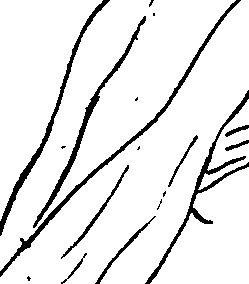 099/099240100000190_1.png