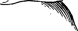 099/099240100000310_0.png