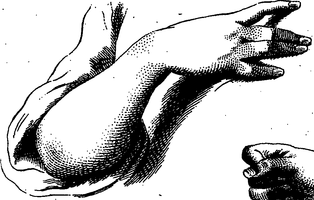 099/099240100000320_1.png
