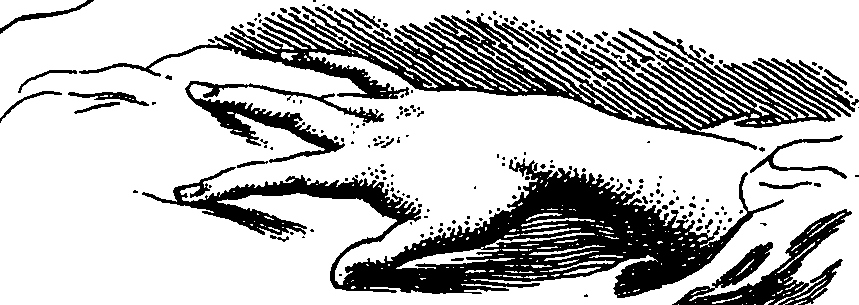 099/099240100000330_2.png