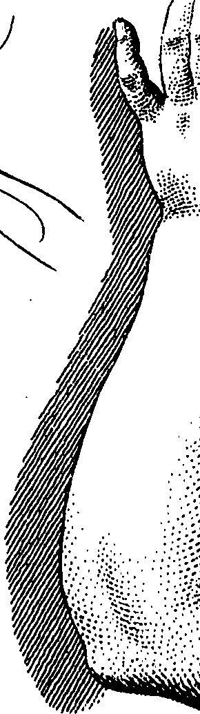 099/099240100000360_0.png