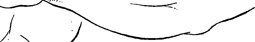 099/099240100000370_0.png