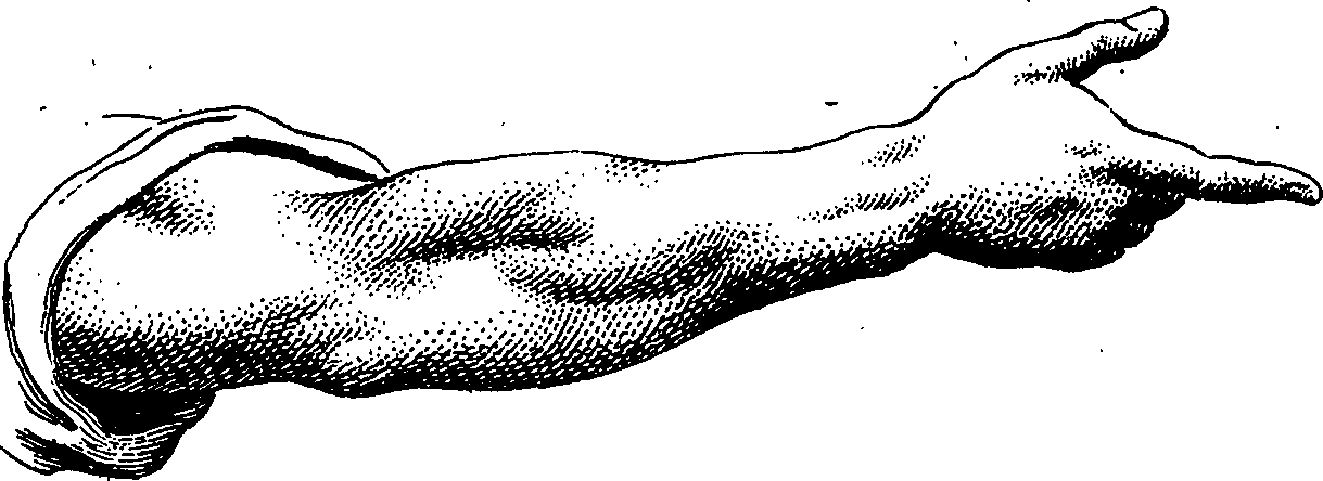 099/099240100000370_1.png