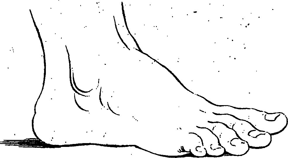 099/099240100000400_2.png