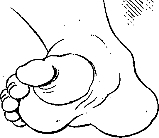 099/099240100000410_0.png