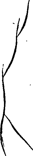 099/099240100000420_0.png