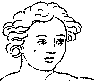 099/099240100000510_1.png