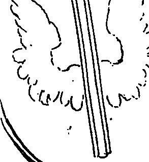 099/099240100000540_0.png