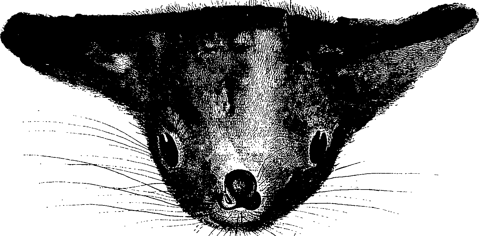 099/099260050001080_1.png