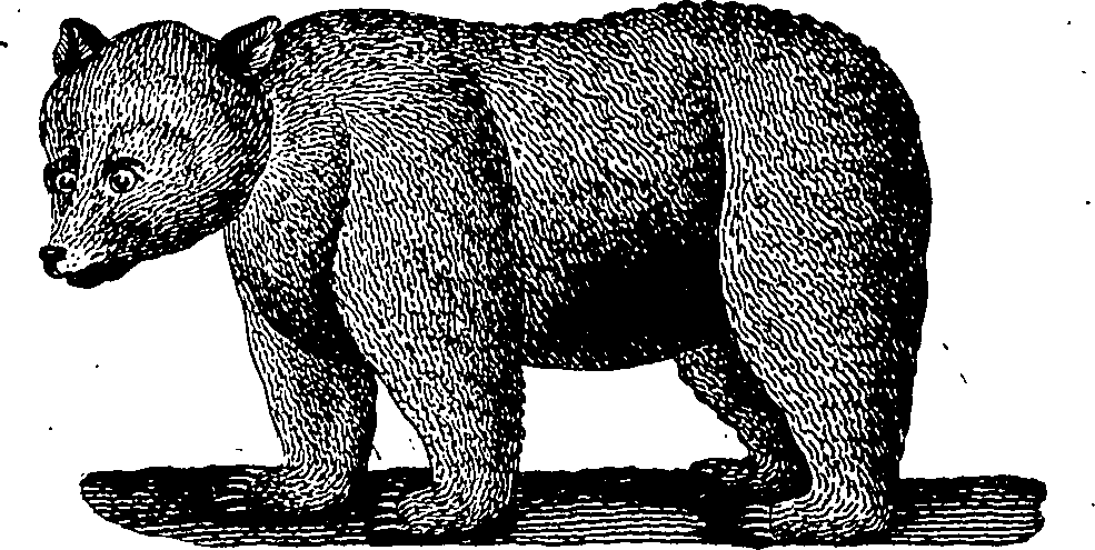 099/099290060000010_0.png