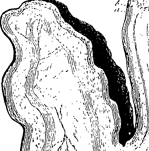 099/099300010101590_1.png
