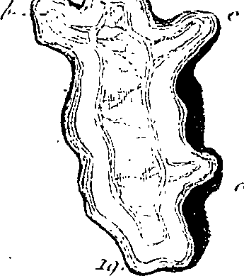 099/099300010101590_3.png