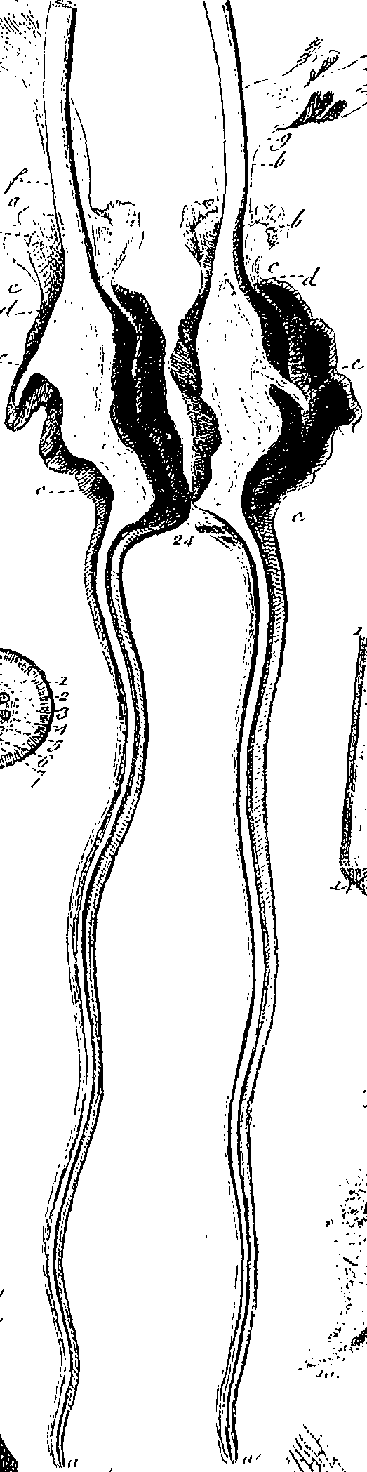 099/099300010101590_4.png