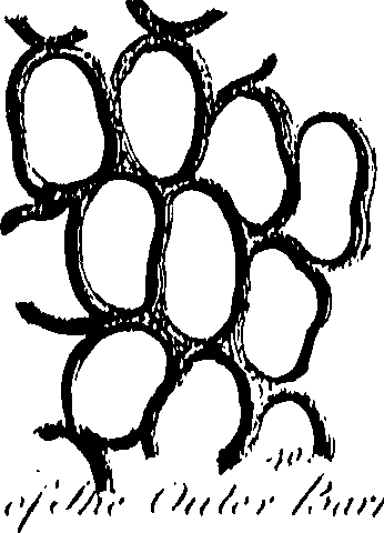 099/099300010101610_0.png