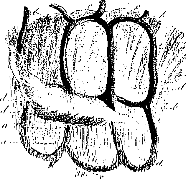 099/099300010101610_1.png